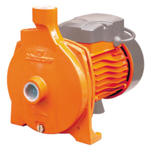 Bomba Centrifuga Lusqtoff CPM158